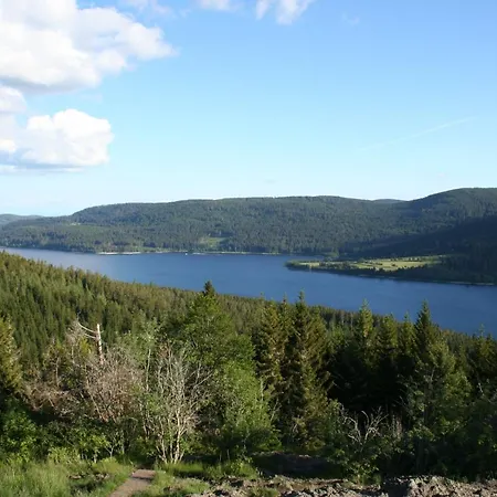 Black-forest - Am Apartamento Schluchsee