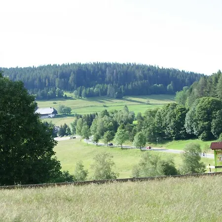 Appartamento Black-forest - Am