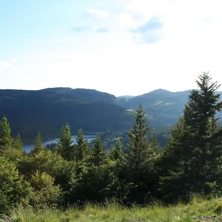 Black-forest - Am