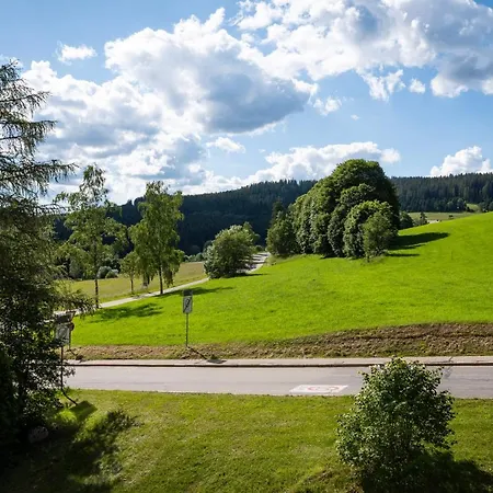 Black-forest - Am