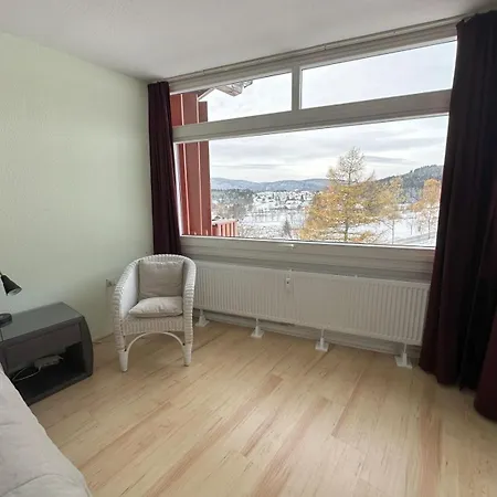 Black-forest - Am Lägenhet Schluchsee