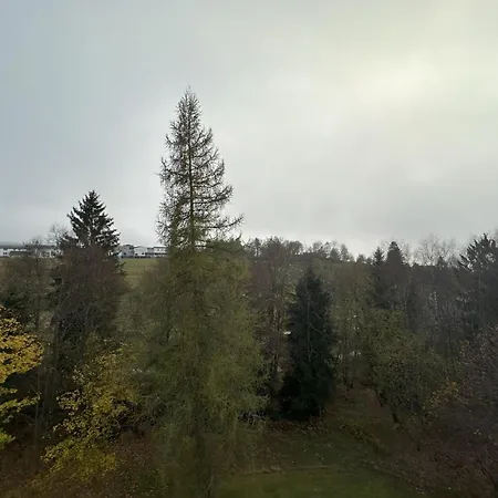 Black-forest - Am Appartement