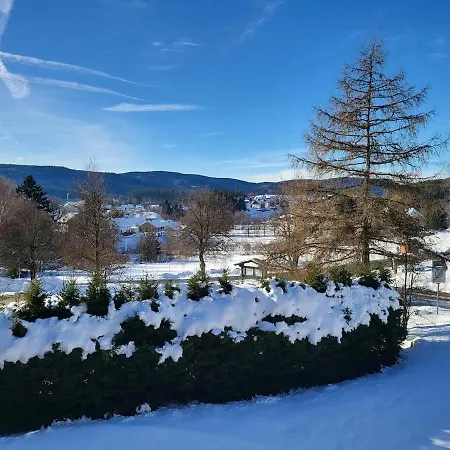 Apartmán Black-forest - Am Schluchsee